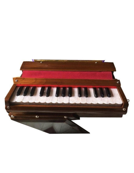 Фисгармония санкиртана (Harmonium, sankirtana), Вриндаван (Vrindavan)