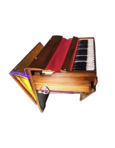 Фисгармония санкиртана (Harmonium, sankirtana), Вриндаван (Vrindavan) 2