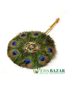 Веер хвост павлина (Peacock tail fan), средний размер