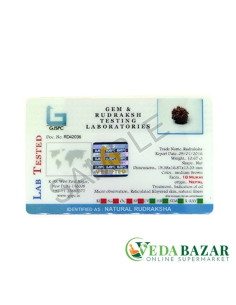 Рудракша сертифицированная 10 ликая (10 Mukhi Certified Pure Siddha Rudraksh), Непал (Saubhagya Global, Nepal) 2