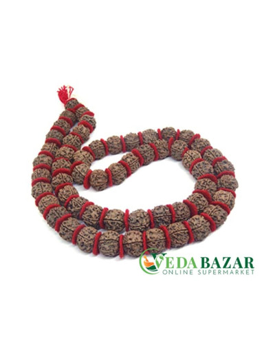 Бархатная Рудракша Мала, энергетический пятиликий (Five Face Velvet Rudraksha mala), 2 см, 54 бусин, Непал (Nepal)
