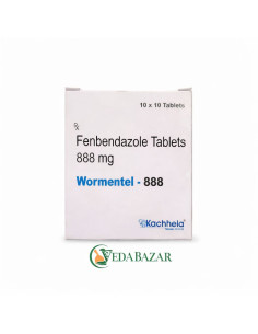 copy of