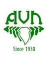 AVN